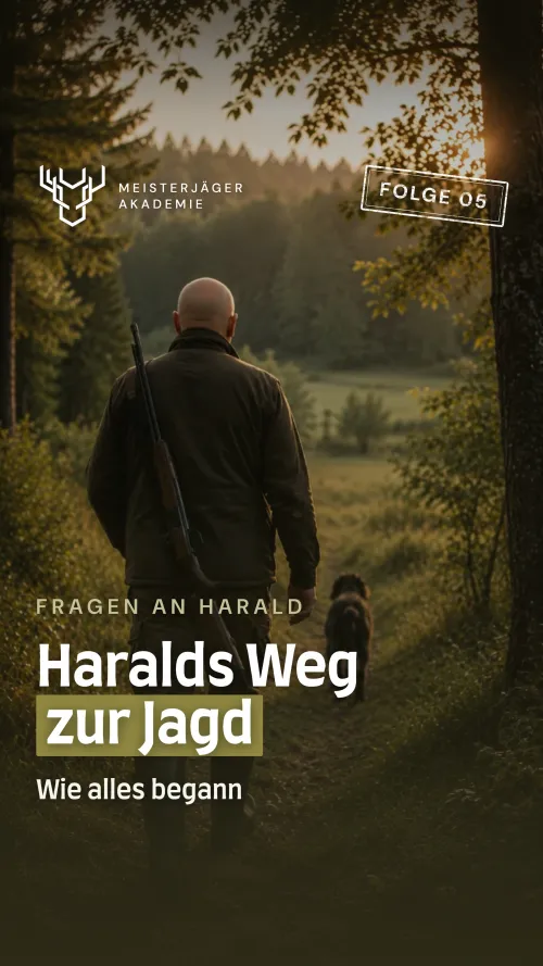 Weg zur Jagd