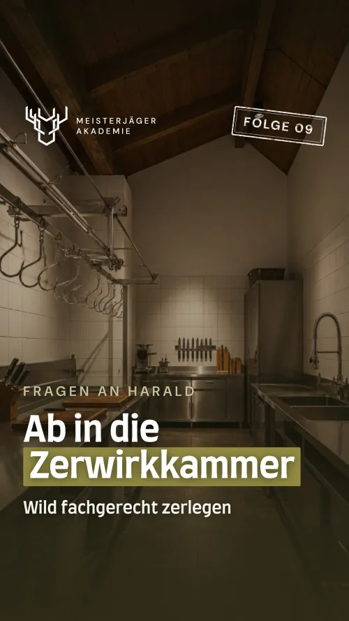 Zerwirkkammer
