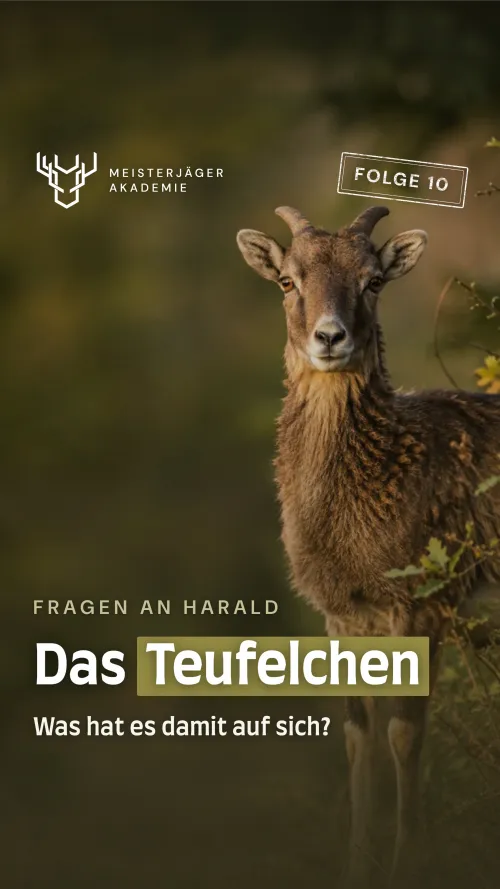 Das Teufelchen